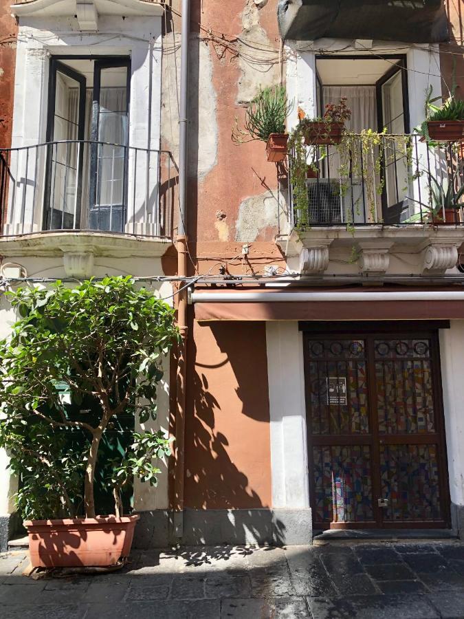 Ambra House Appartement
